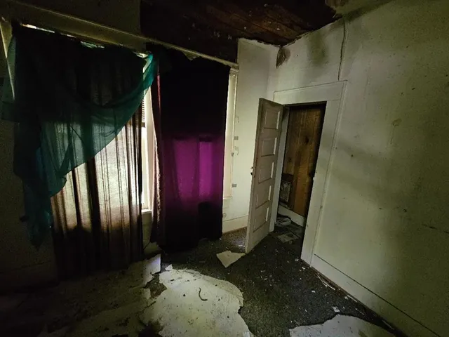 a bedroom with furniture and a potted plant