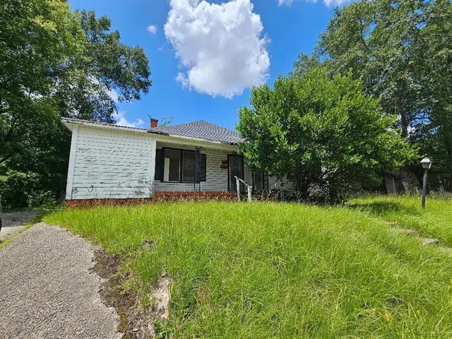 a backyard of a house with plants and large tree