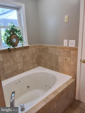 a bathroom with a bathtub and potted plant