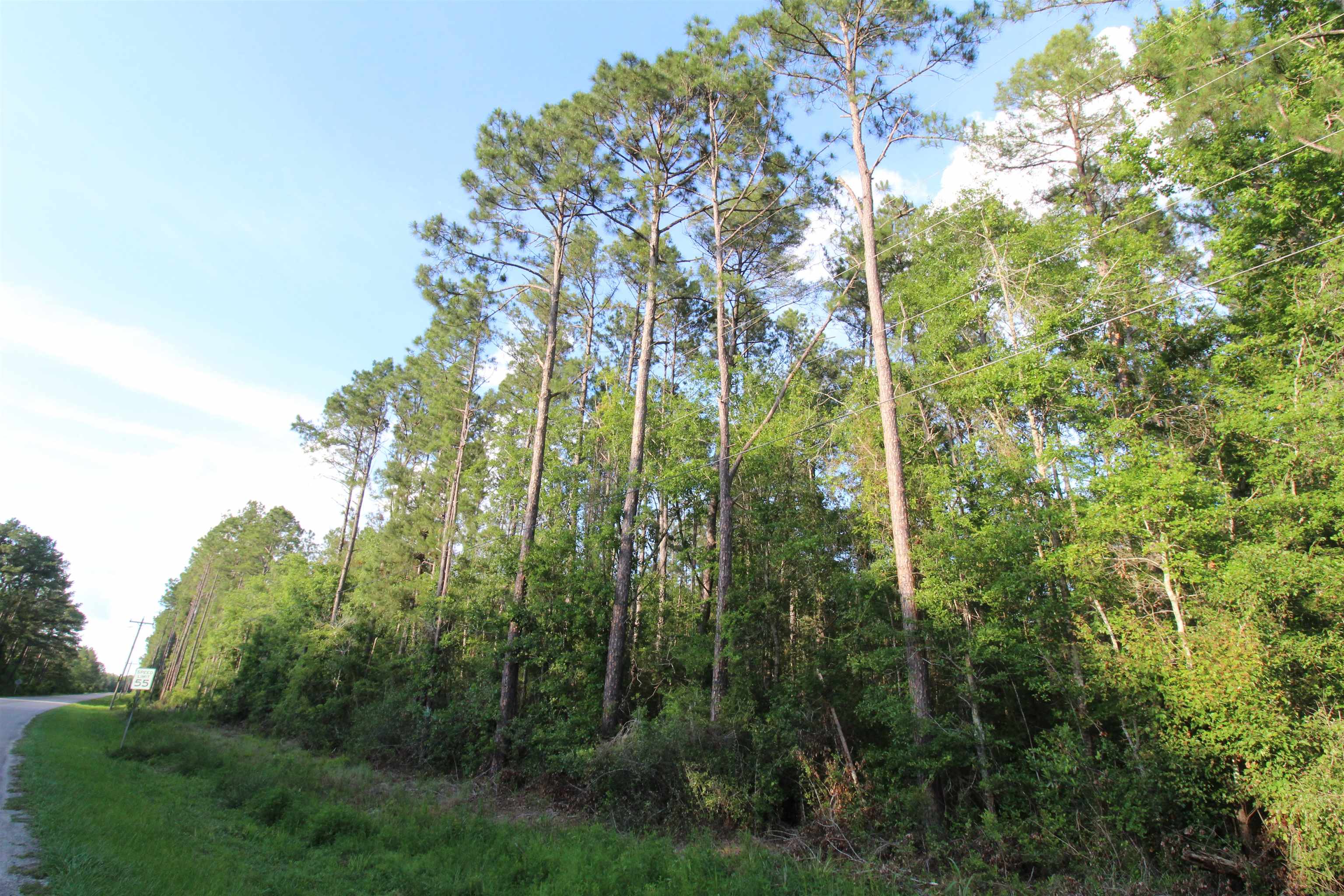 Tbd South Salt Road Monticello, FL 32344 - Photo 3 of 18