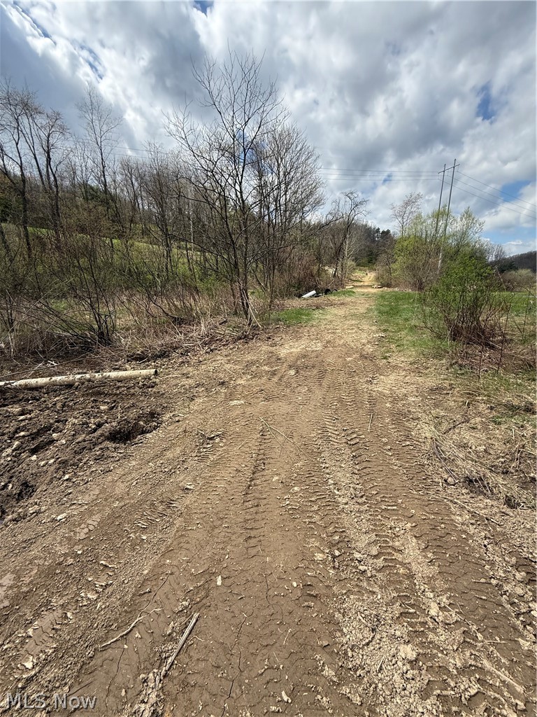 2492 Irish Ridge Road East Liverpool, OH 43920 - Photo 8 of 10 View of driveway/roadway entry (from inside the land)