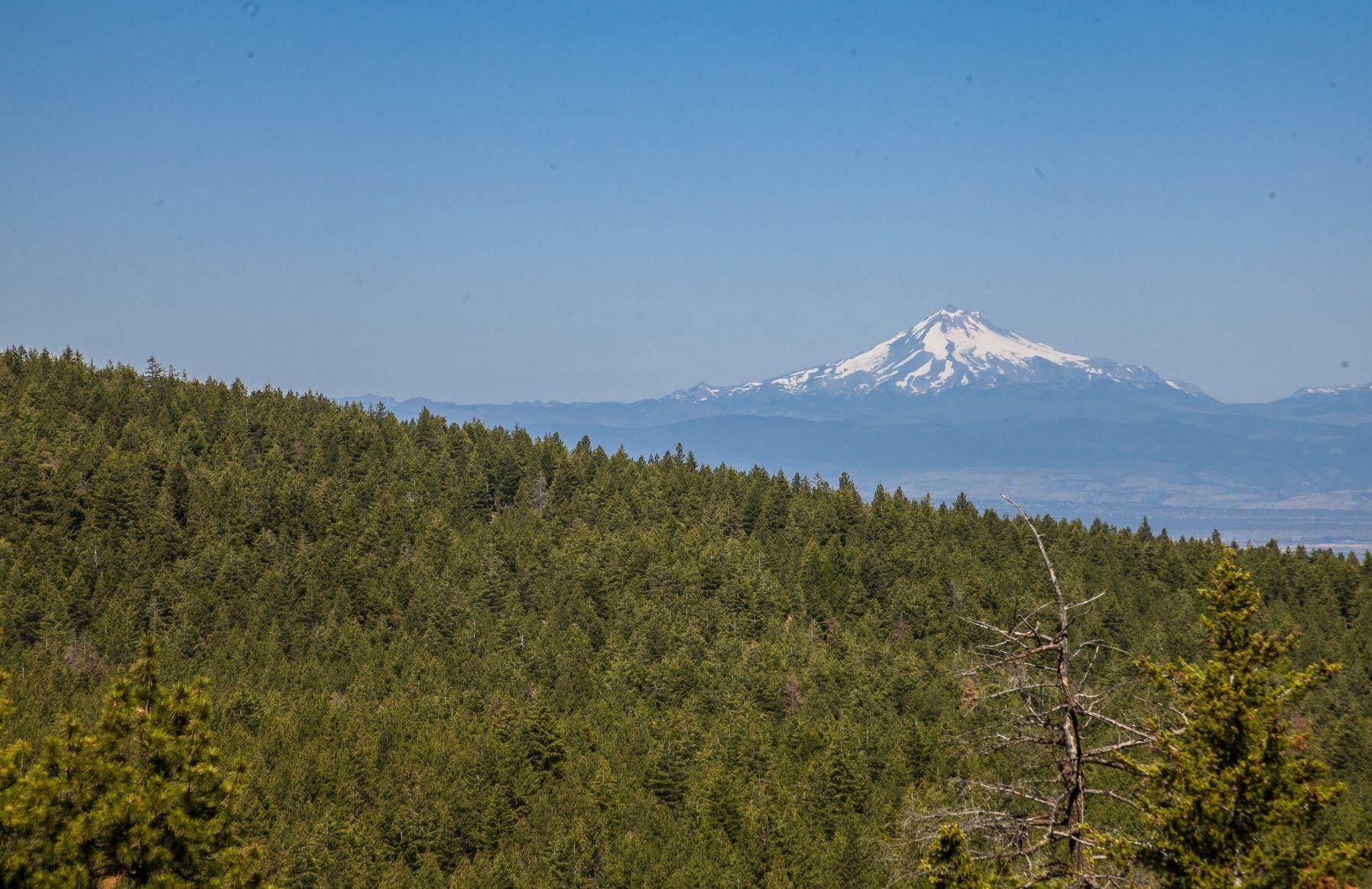 N/a N/a Coon Ridge Road Madras, OR 97741 - Photo 2 of 14 mt jefferson oregon bugle butte mls