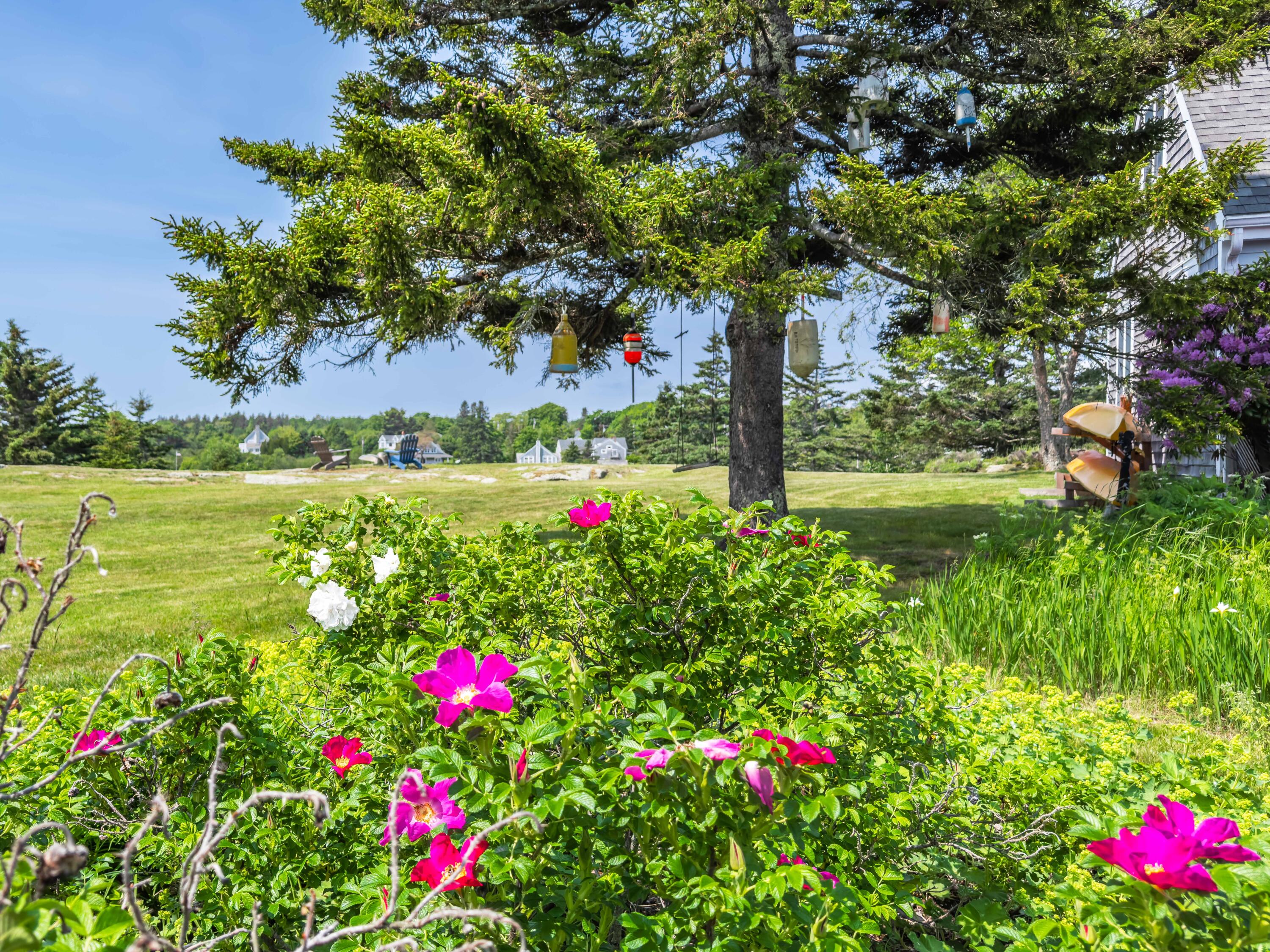 464 Port Clyde Road St. George, ME 04860 - Photo 83 of 108 IMG_0946 2