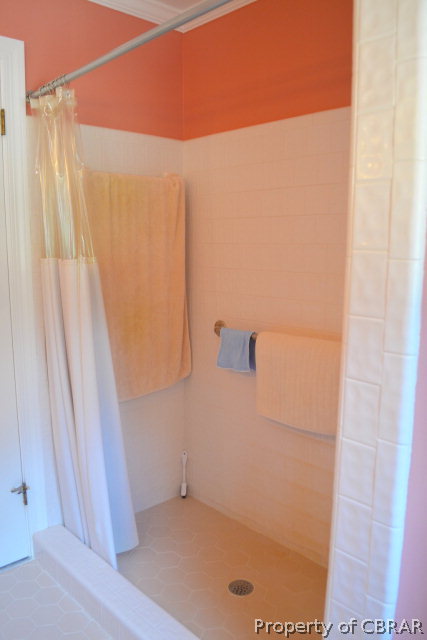 10306 Buckley Hall Road Mathews, VA 23109 - Photo 13 of 22 a bathroom with a shower