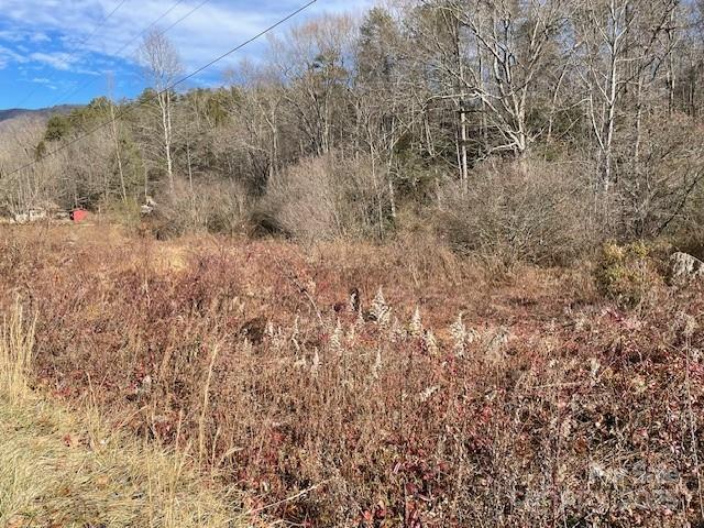 Off Mackey Creek Road Old Fort, NC 28762 - Photo 1 of 6 a view of a dry yard with trees