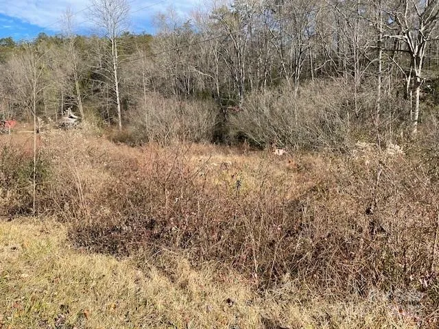 a view of a dry yard