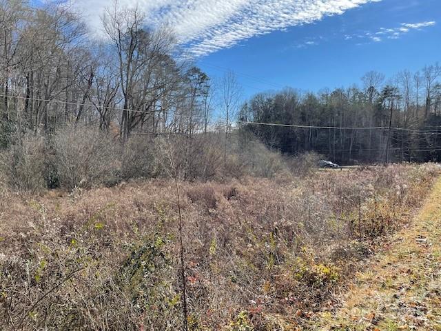 Off Mackey Creek Road Old Fort, NC 28762 - Photo 5 of 6