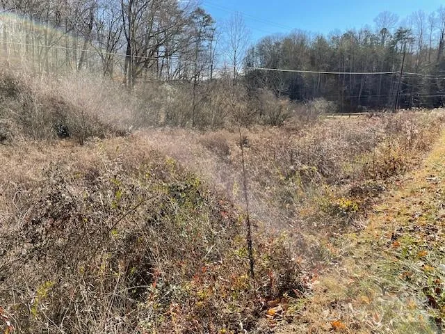 $25,000 | Off Mackey Creek Road, Old Fort, NC 28762