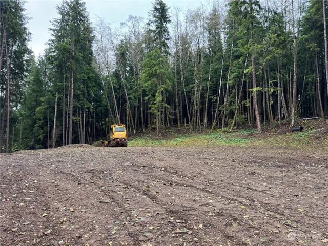 a backyard of a house with lots of trees