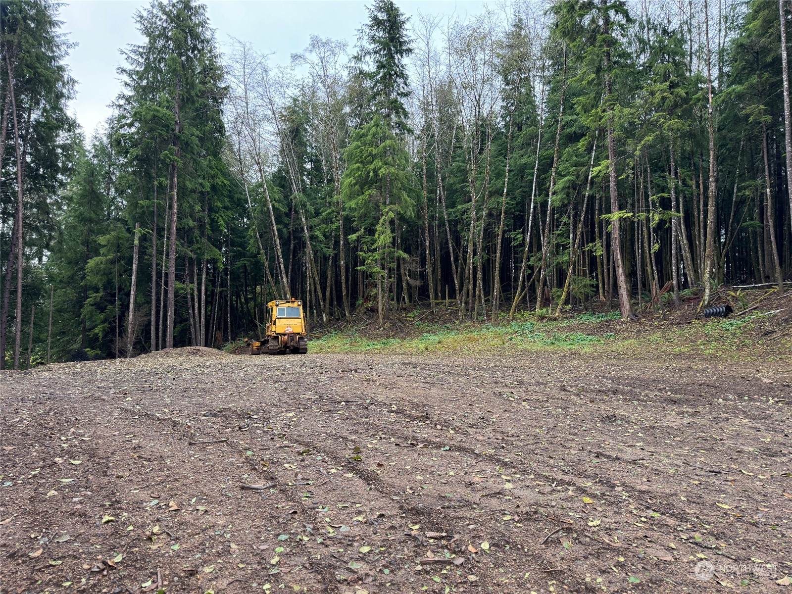 a backyard of a house with lots of trees