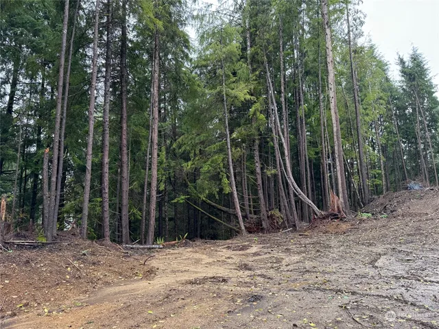 a view of a backyard with swings