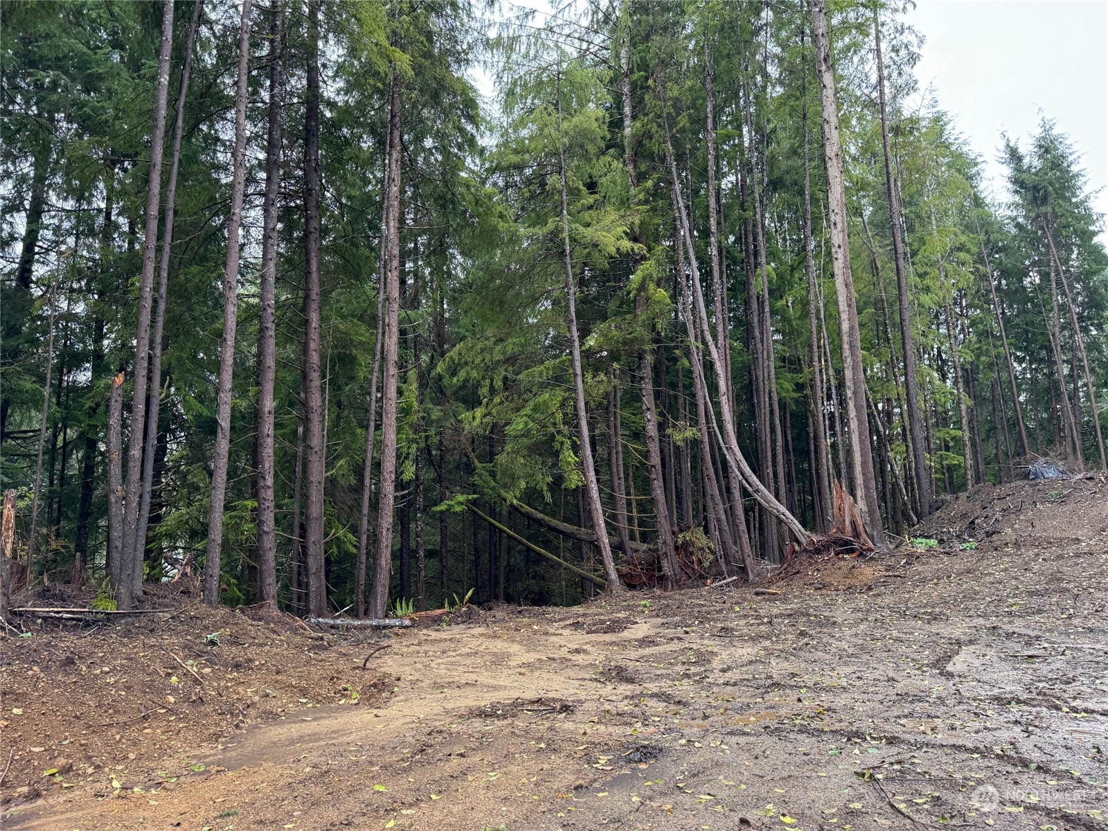 554 Eagle Point Road Sekiu, WA 98381 - Photo 3 of 5 a view of a backyard with swings