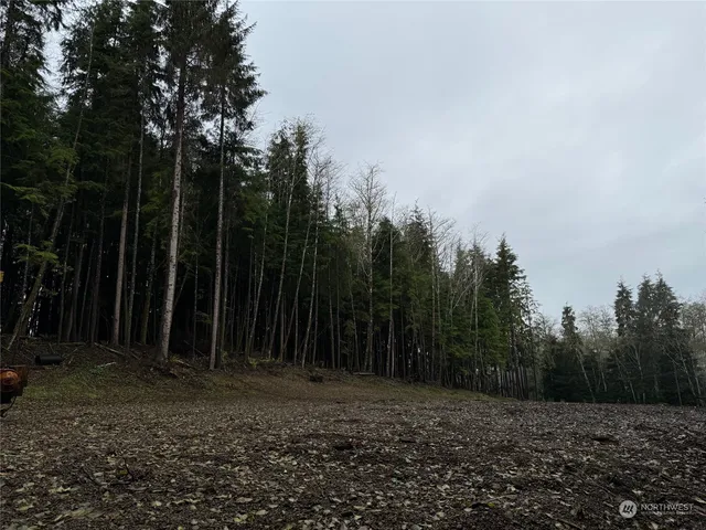 a view of backyard with green space