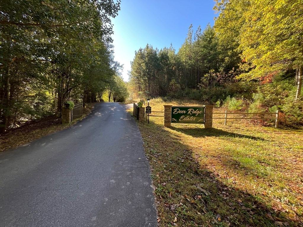 Lot 23 Trailblazer Way Murphy, NC 28906 - Photo 6 of 9
