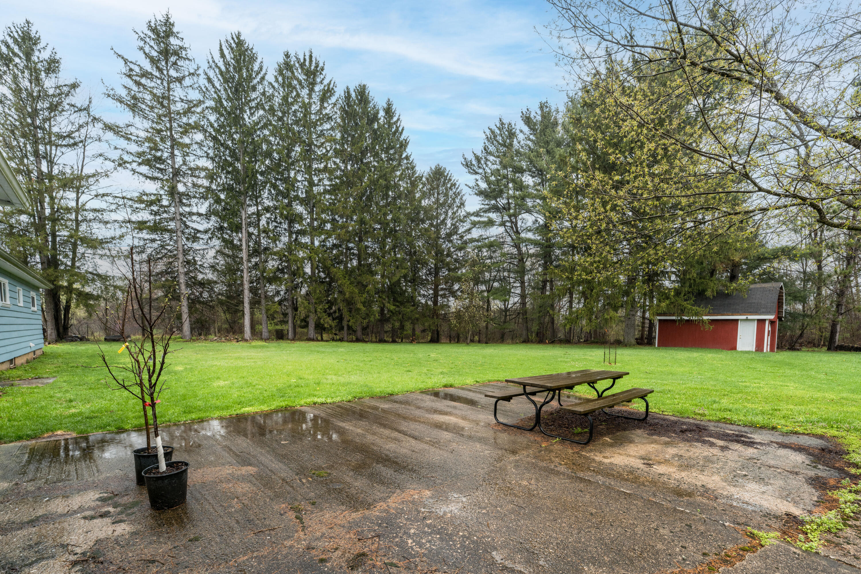 8875 Huff Road Bellevue, MI 49021 - Photo 12 of 39 DSC05270-Edit