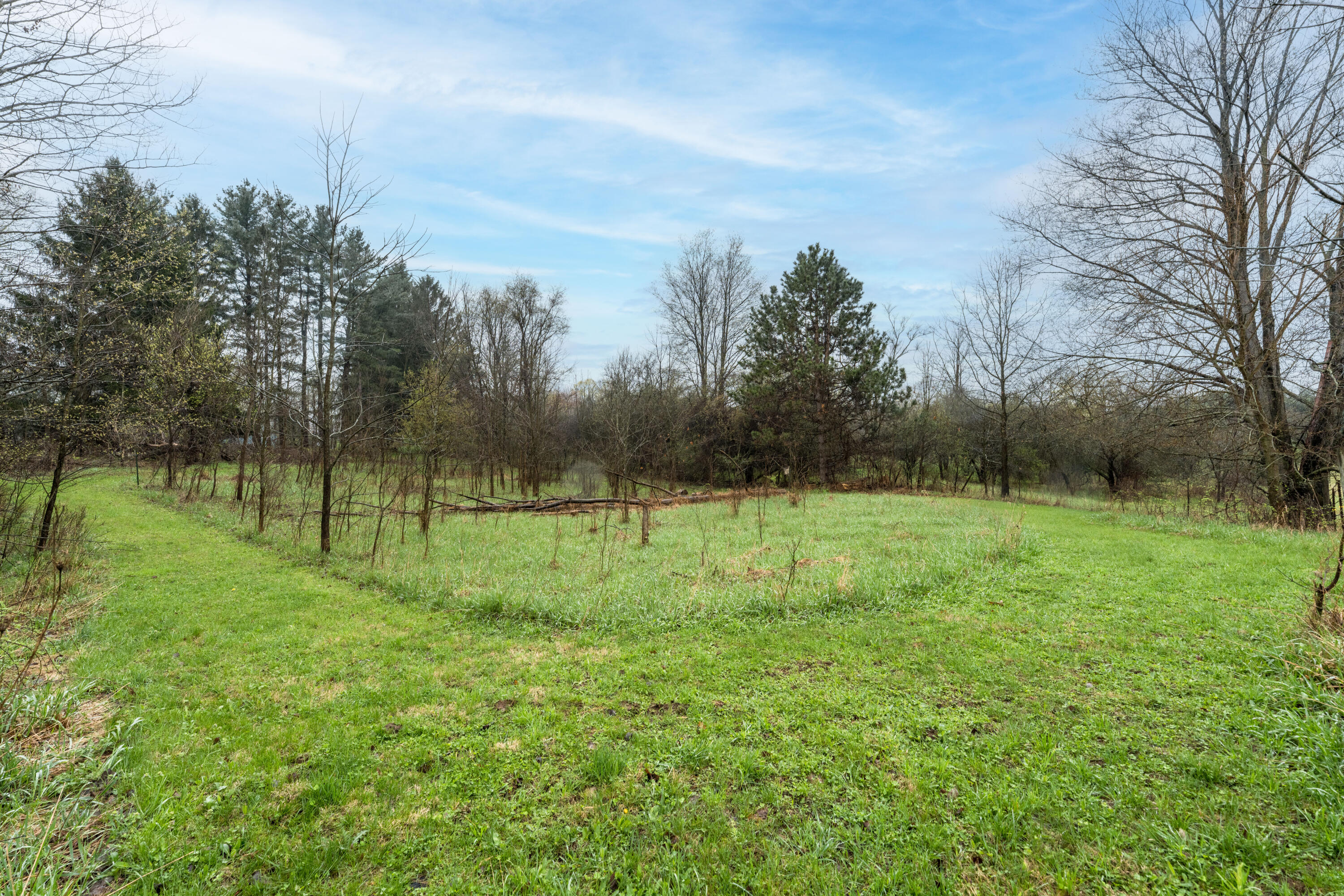 8875 Huff Road Bellevue, MI 49021 - Photo 4 of 39 DSC05279-Edit