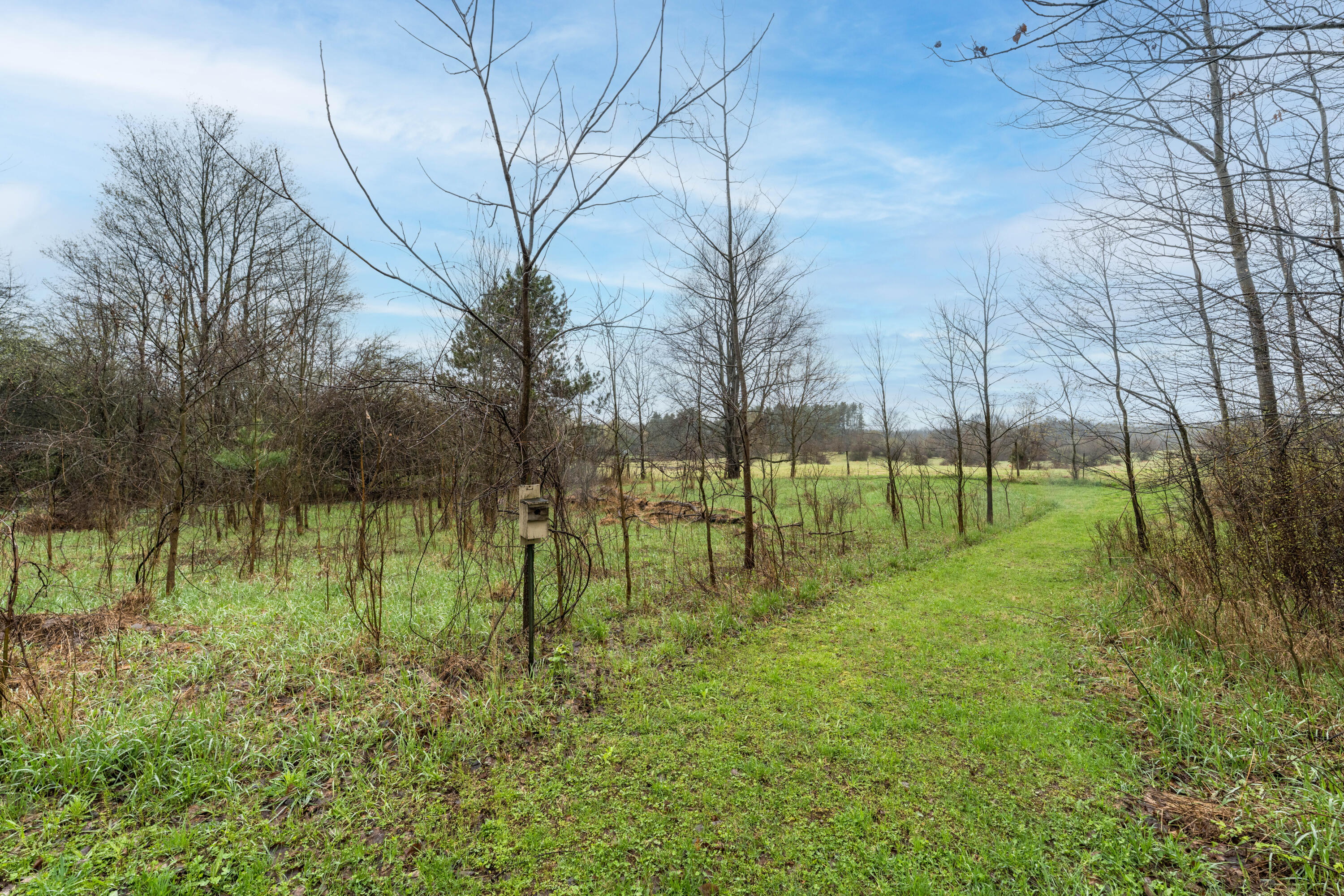 8875 Huff Road Bellevue, MI 49021 - Photo 5 of 39 DSC05278-Edit
