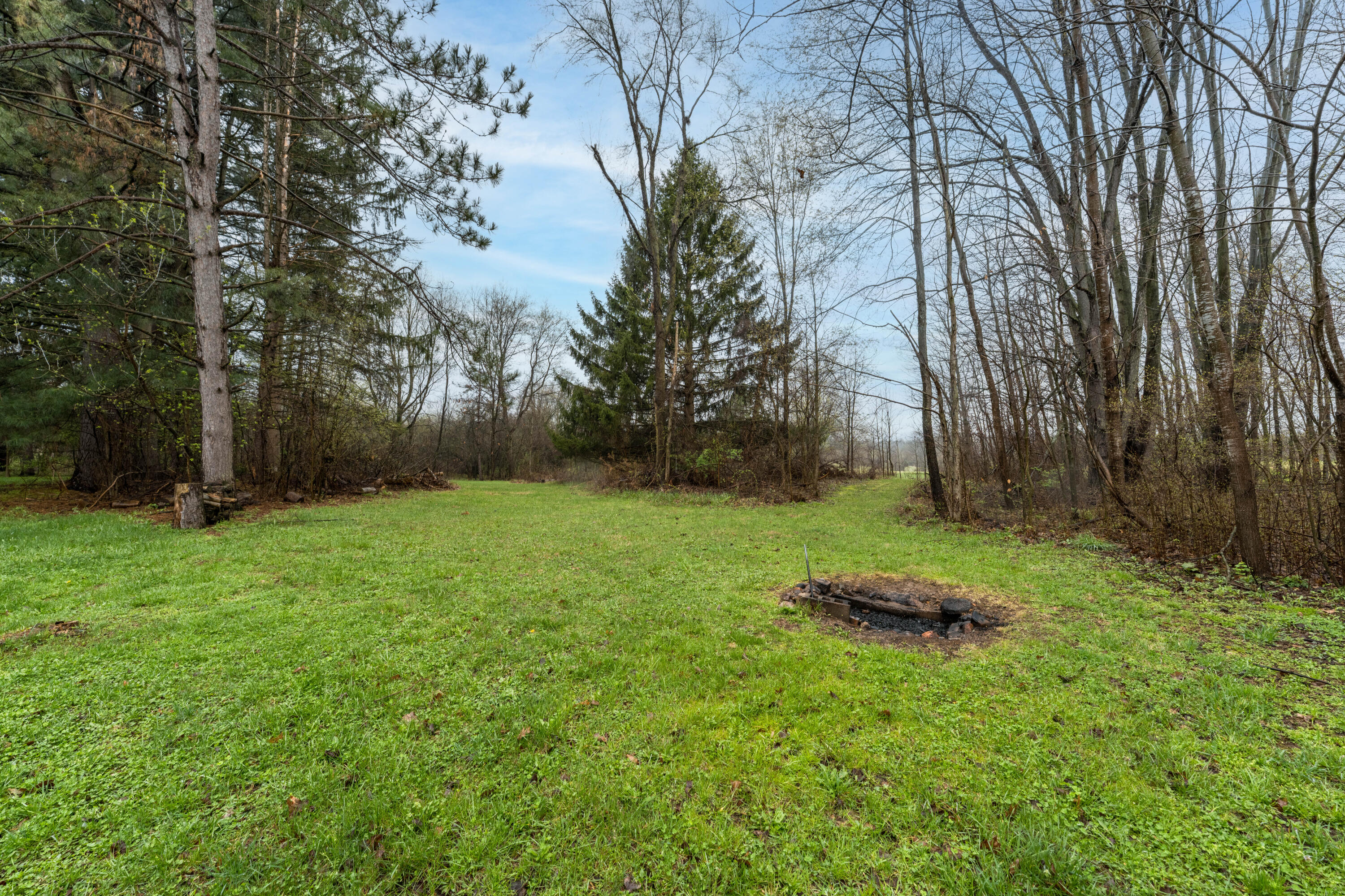 8875 Huff Road Bellevue, MI 49021 - Photo 6 of 39 DSC05277-Edit