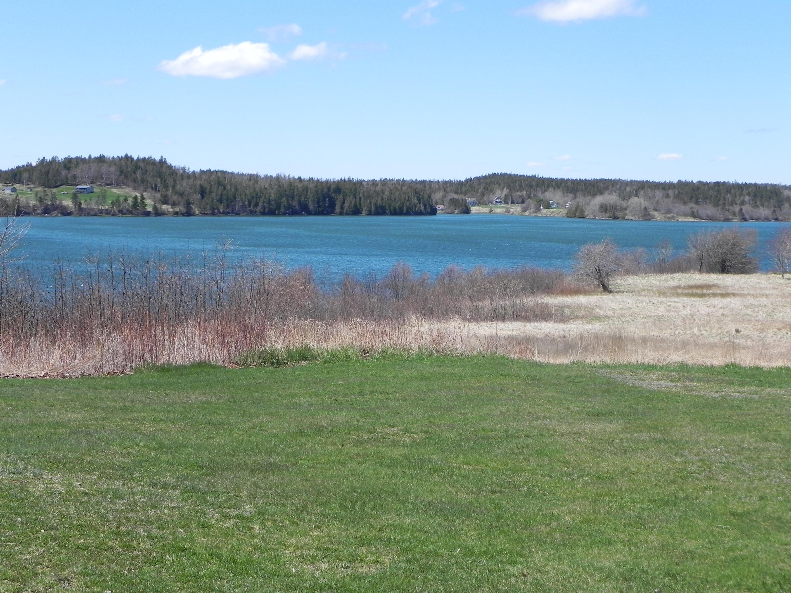 105 County Road Lubec, ME 04652 - Photo 43 of 43 DSCN9317