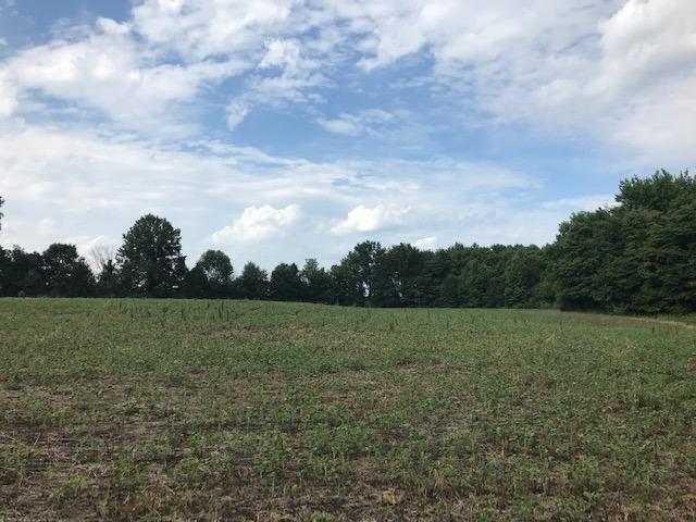 275 Middleboro Road Blanchester, OH 45107 - Photo 10 of 12
