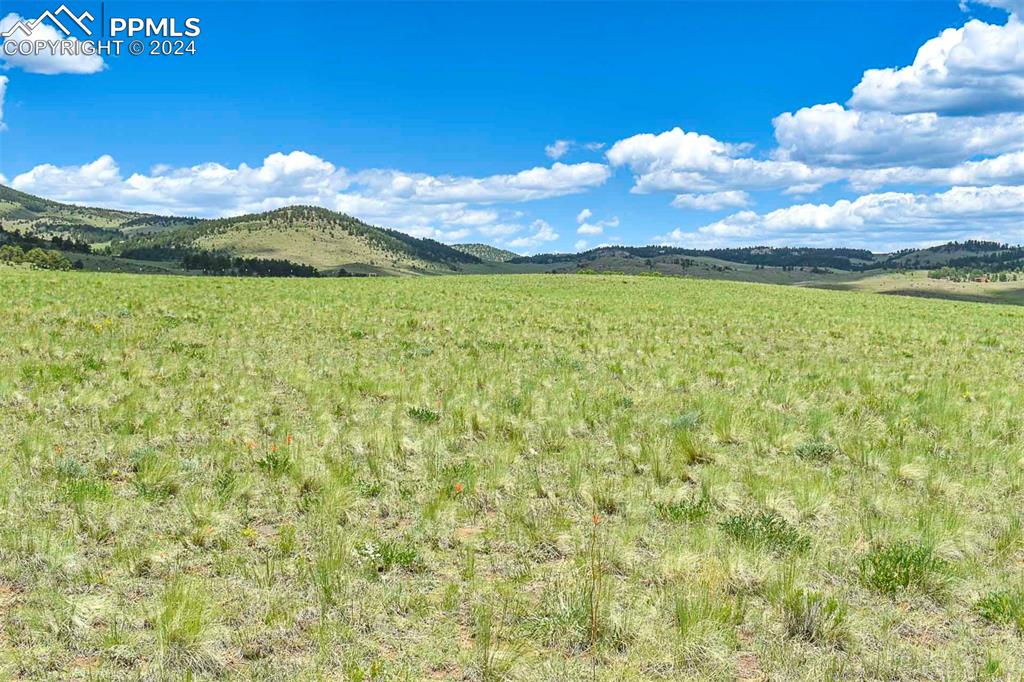 63 County Road Guffey, CO 80820 - Photo 26 of 35
