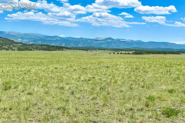 a view of an ocean from a yard