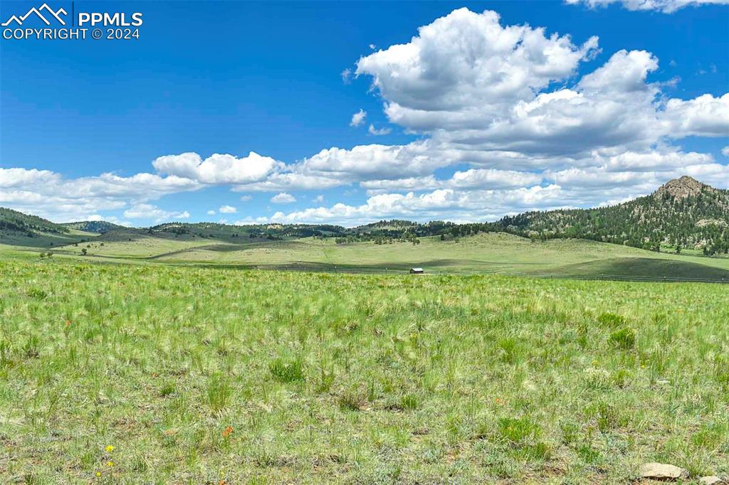 63 County Road Guffey, CO 80820 - Photo 4 of 35 a view of a big yard with lots of green space