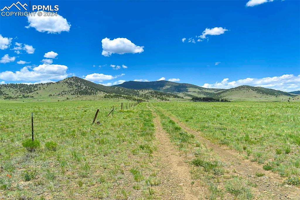 63 County Road Guffey, CO 80820 - Photo 7 of 35 a view of a big yard with plants and large trees