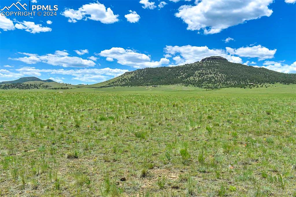 63 County Road Guffey, CO 80820 - Photo 10 of 35 a view of a big yard with lots of yellow lighting