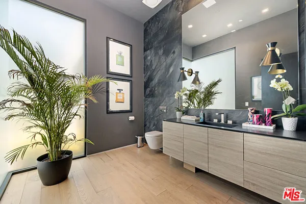 a room with a potted plant on the kitchen counter top and a potted plant