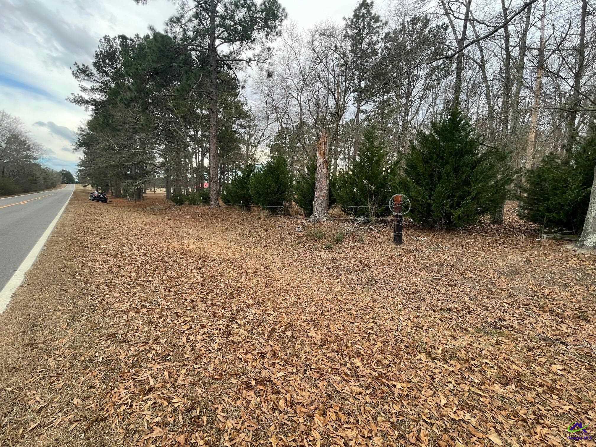 Bates Road Cochran, GA 31014 - Photo 3 of 11