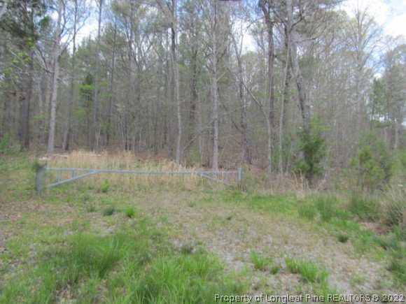 0 South Plank Road Cameron, NC 28326 - Photo 1 of 8 a view of a dry yard