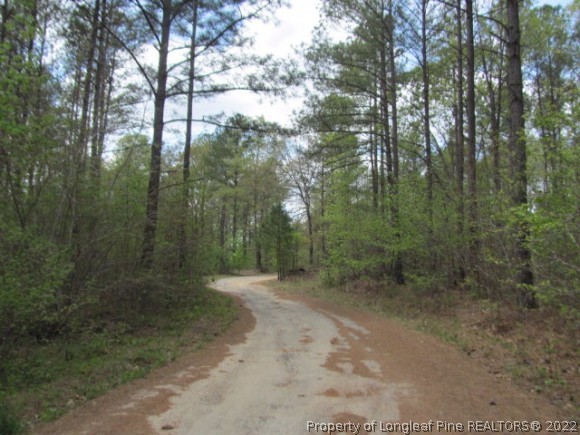 0 South Plank Road Cameron, NC 28326 - Photo 2 of 8 a view of a forest with trees in the background