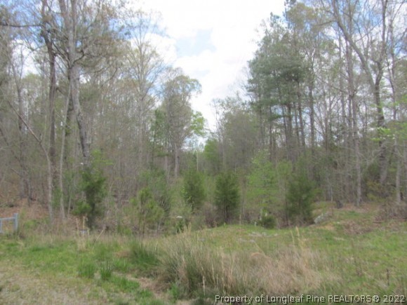 0 South Plank Road Cameron, NC 28326 - Photo 5 of 8 a view of a lush green forest