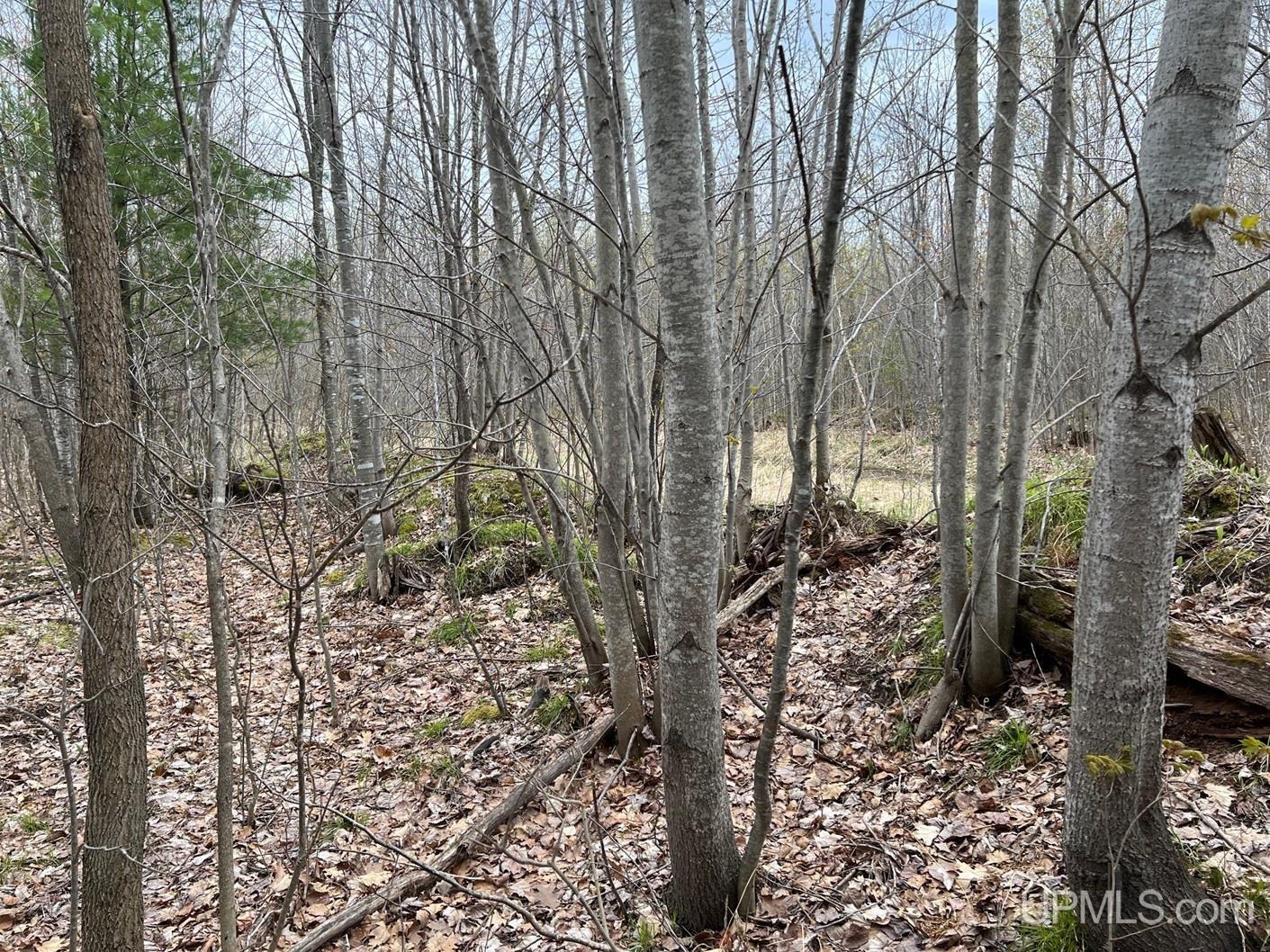Tbdw Tbdw Off Townline Road Lanse, MI 49946 - Photo 9 of 17