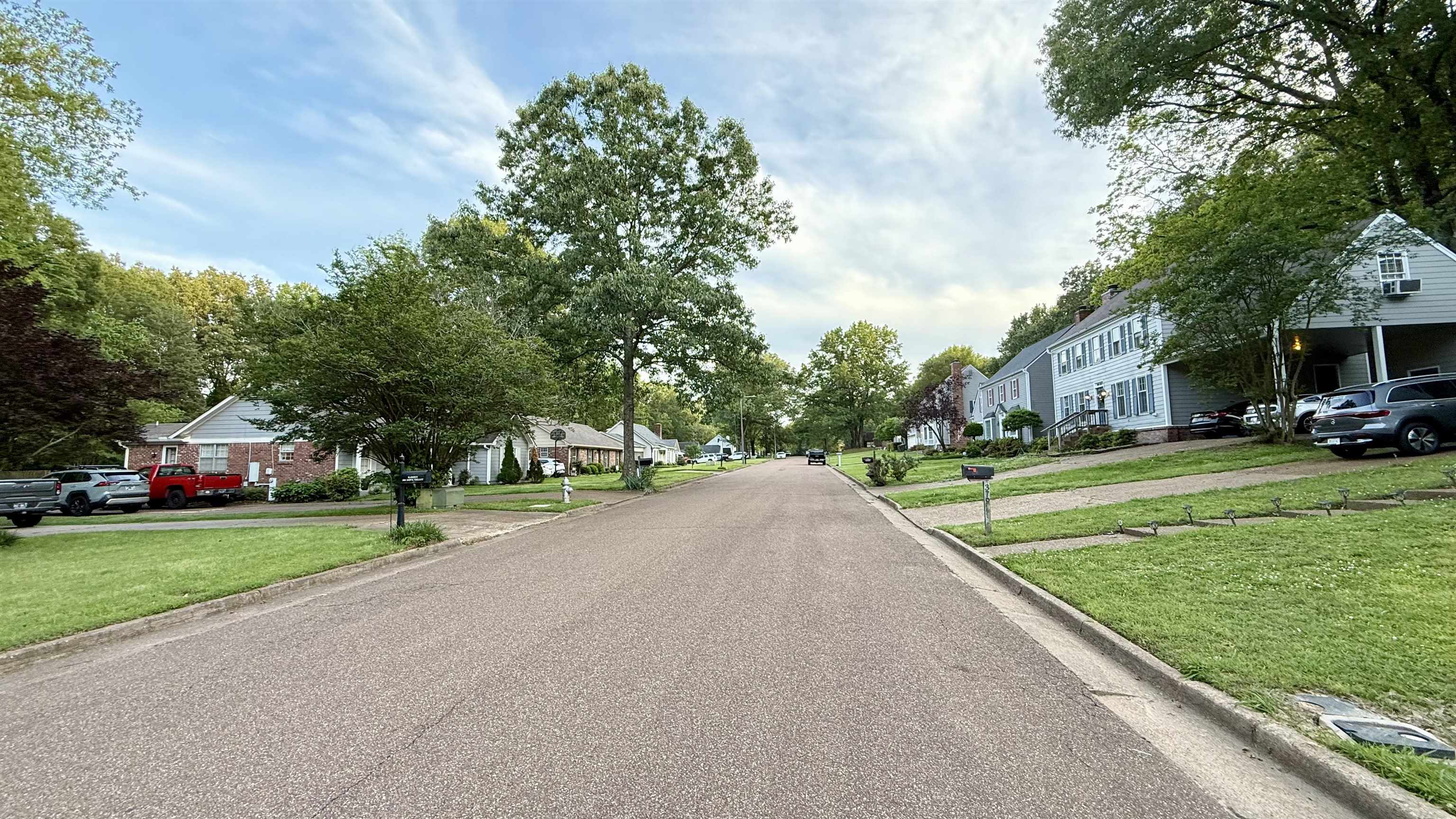 379 Dove Valley Road Collierville, TN 38017 - Photo 12 of 12 View of asphalt road featuring a residential view and curbs