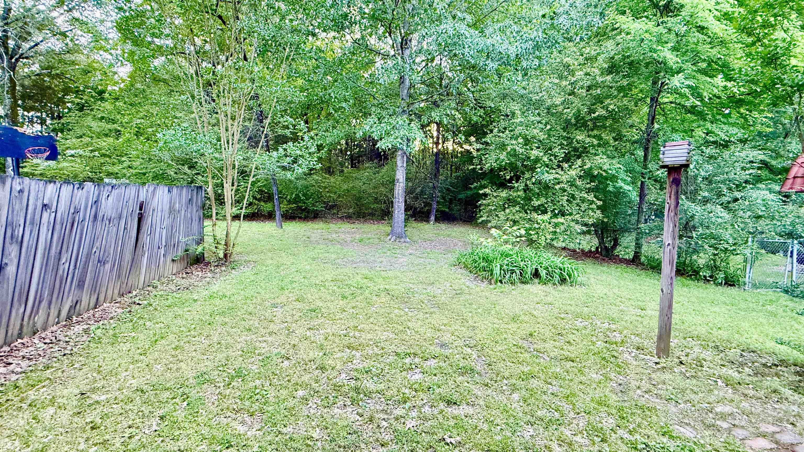 379 Dove Valley Road Collierville, TN 38017 - Photo 10 of 12 View of yard