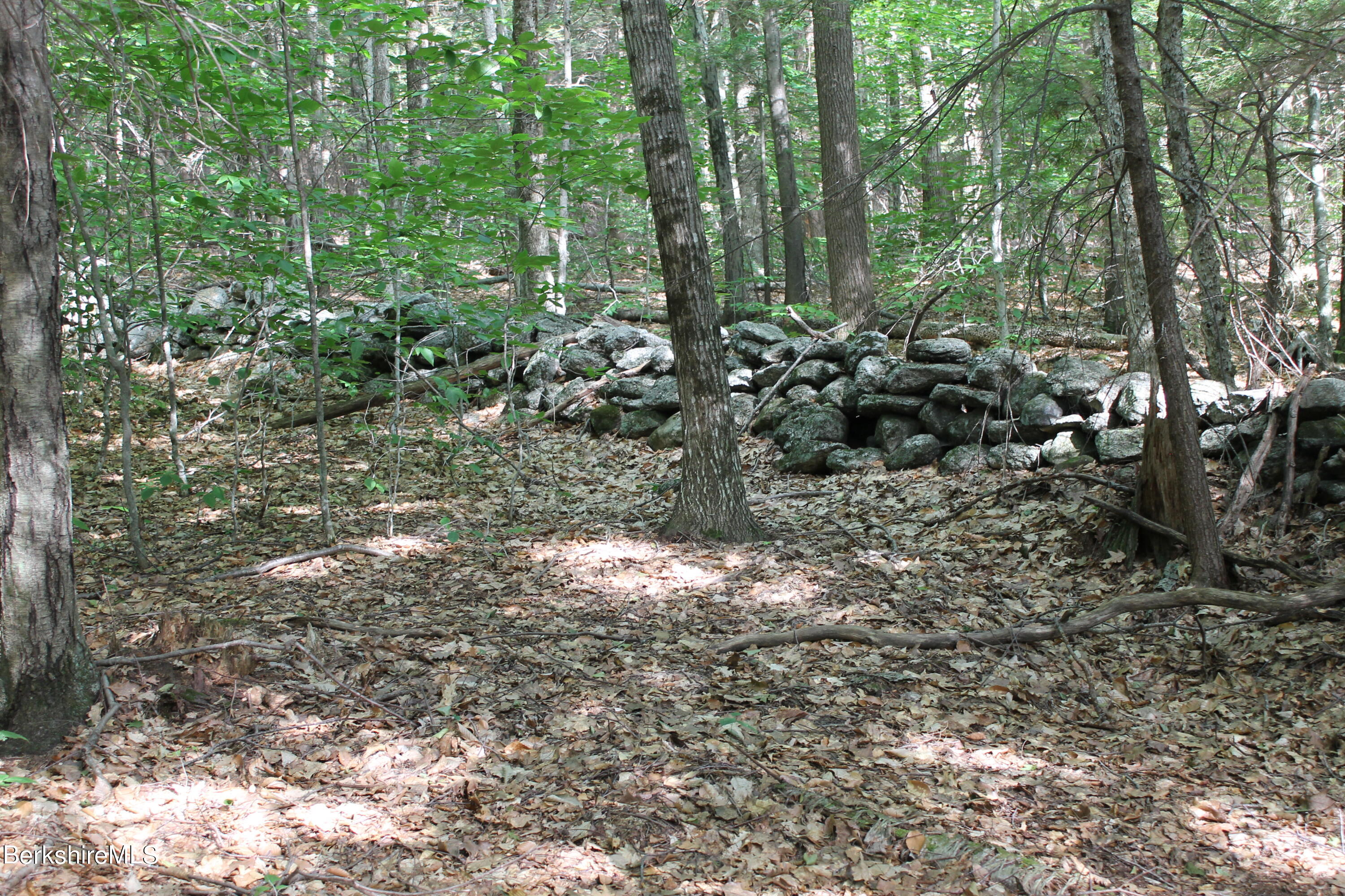 Stone wall side of lot