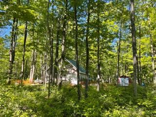 6835 Klein Road Hillman, MI 49746 - Photo 39 of 54 Gallery Image 39