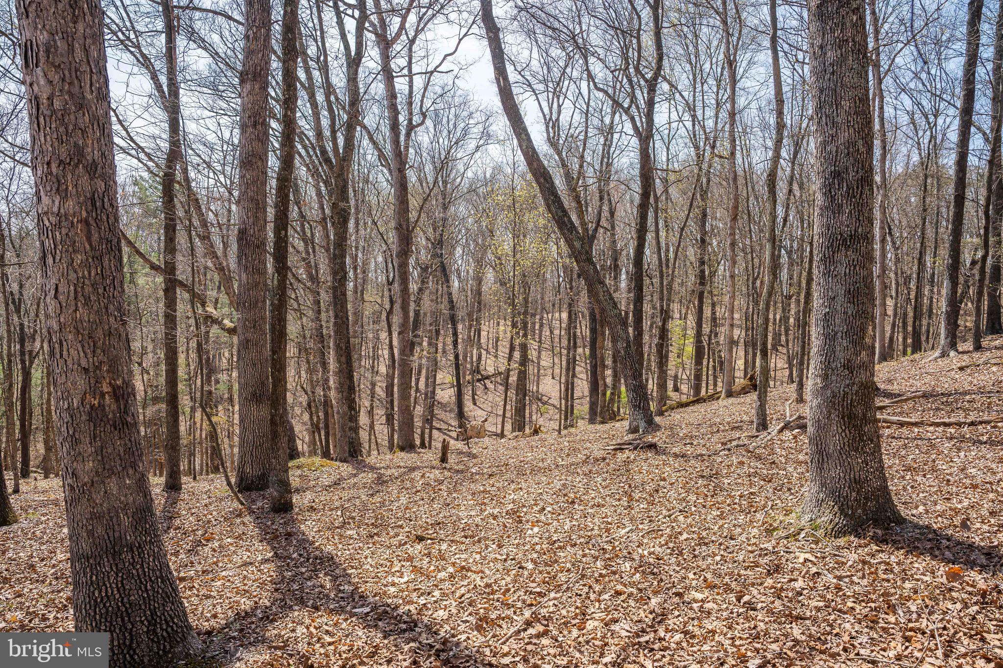 980 Adams Road Winchester, VA 22603 - Photo 47 of 50 Gallery Image 47