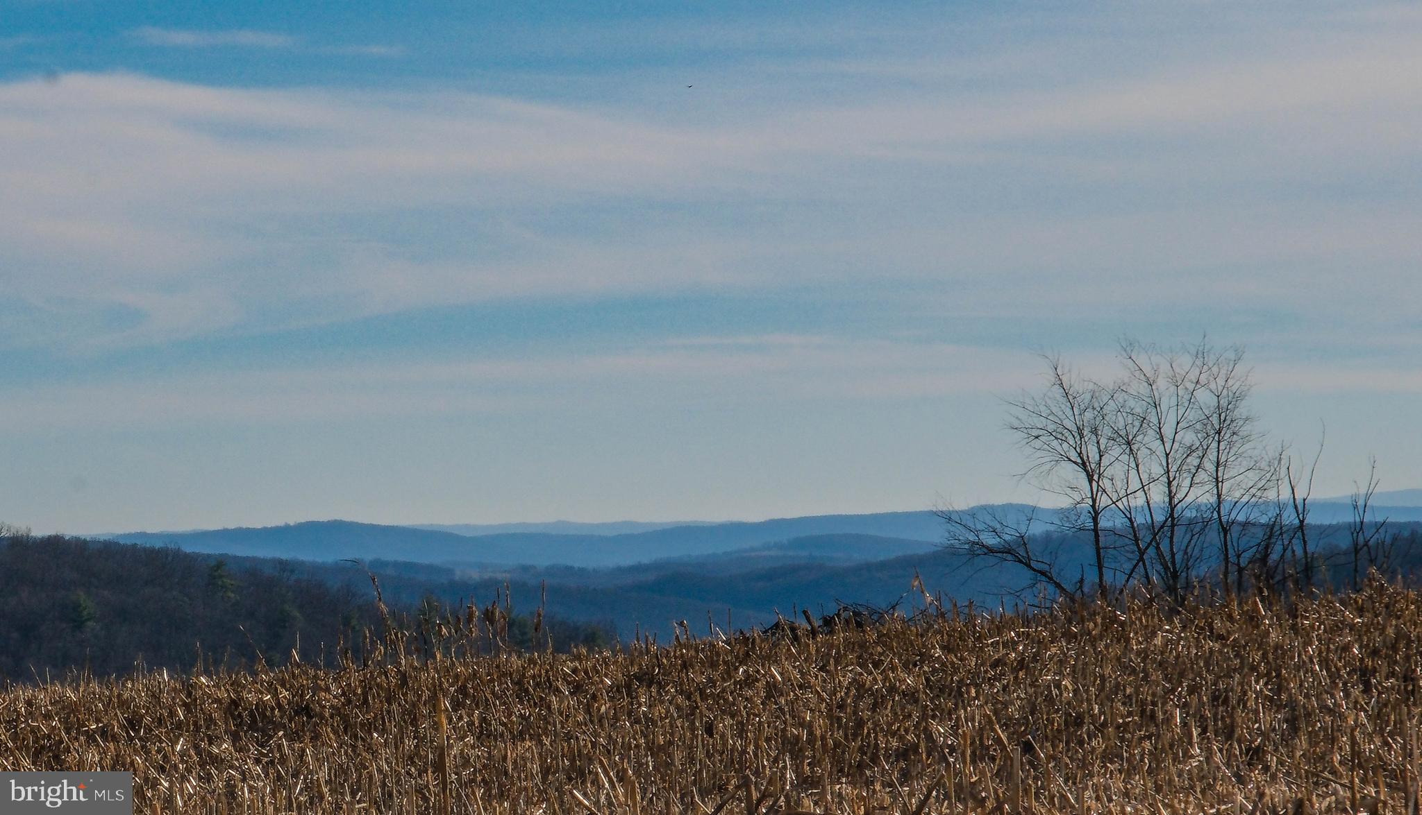 15462 Jersey Mountain Road Levels, WV 25431 - Photo 54 of 56