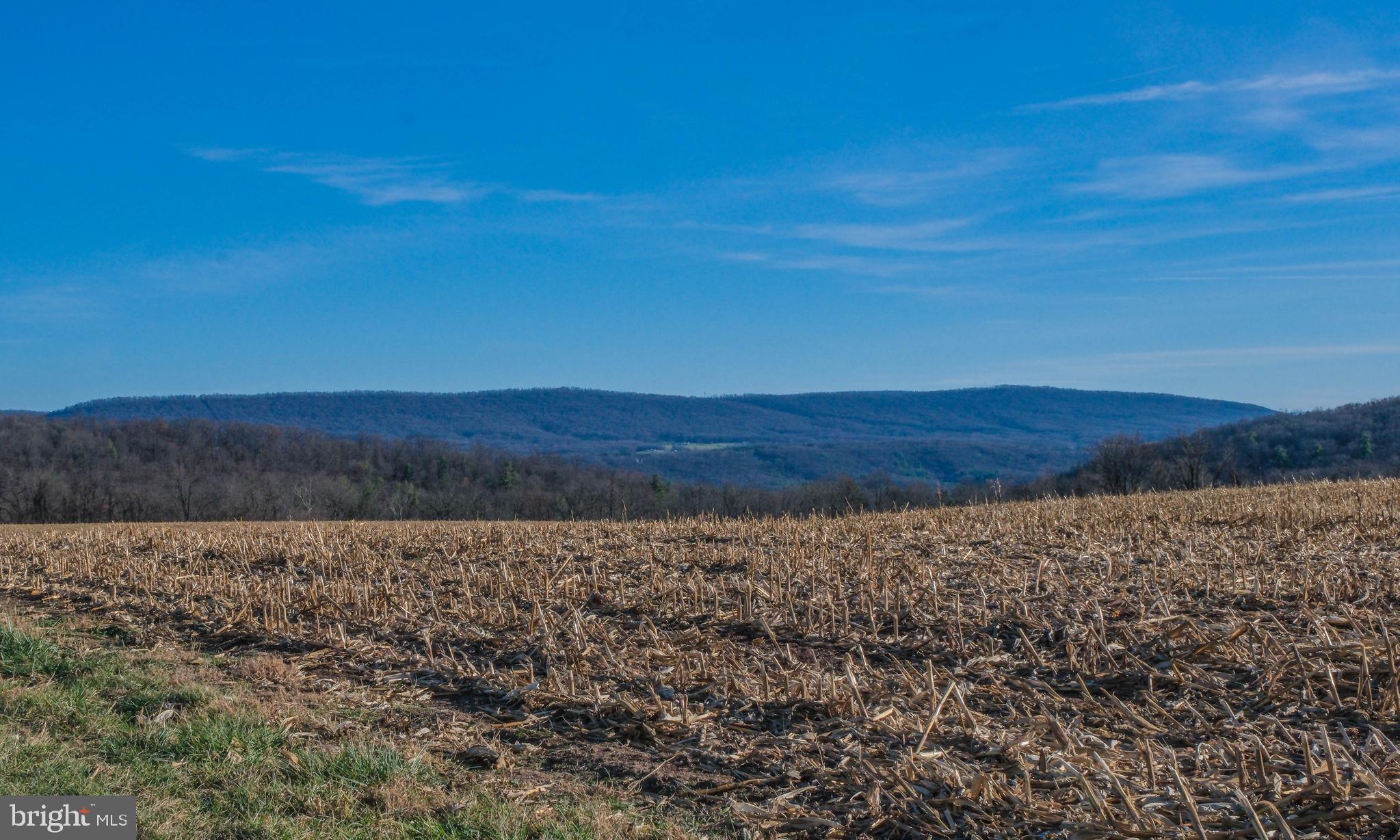 15462 Jersey Mountain Road Levels, WV 25431 - Photo 55 of 56