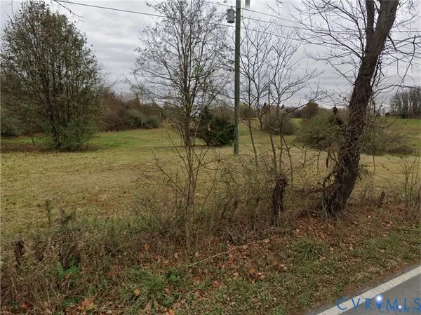 a view of a yard with trees