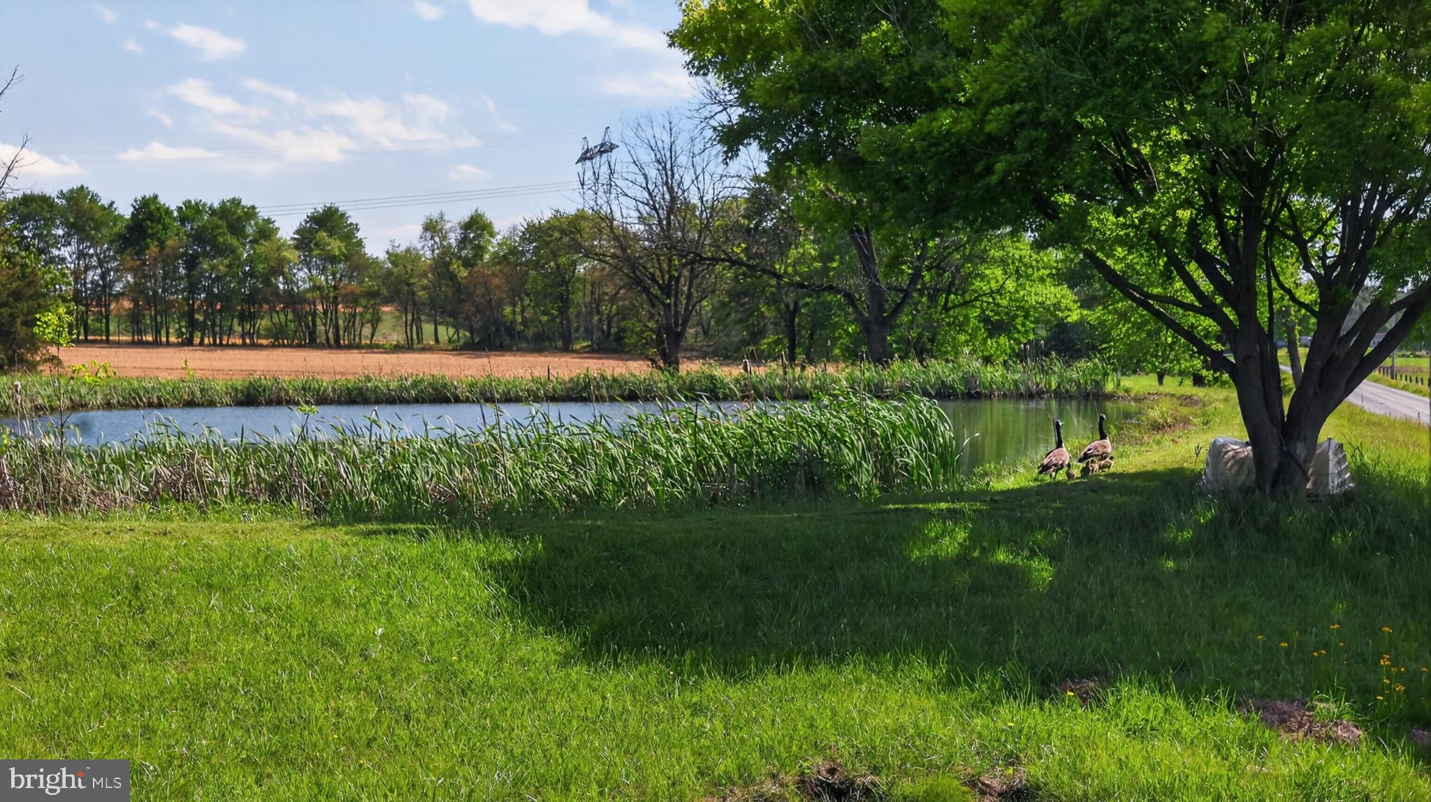 1599 Sanctuary Road Manheim, PA 17545 - Photo 65 of 66 Tranquil waterside retreat in nature.