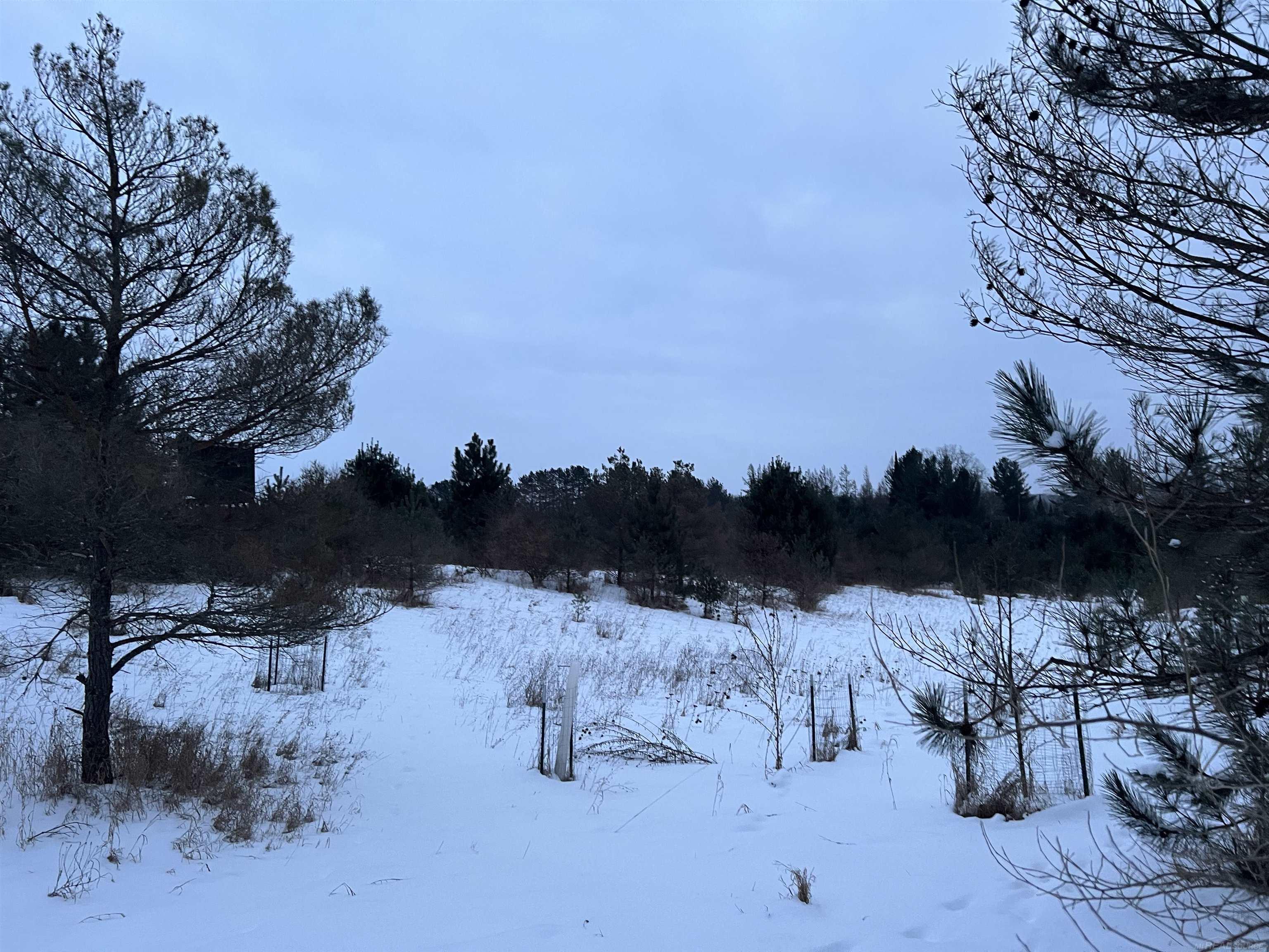 Goodrich Road Herron, MI 49744 - Photo 16 of 19 Gallery Image 16