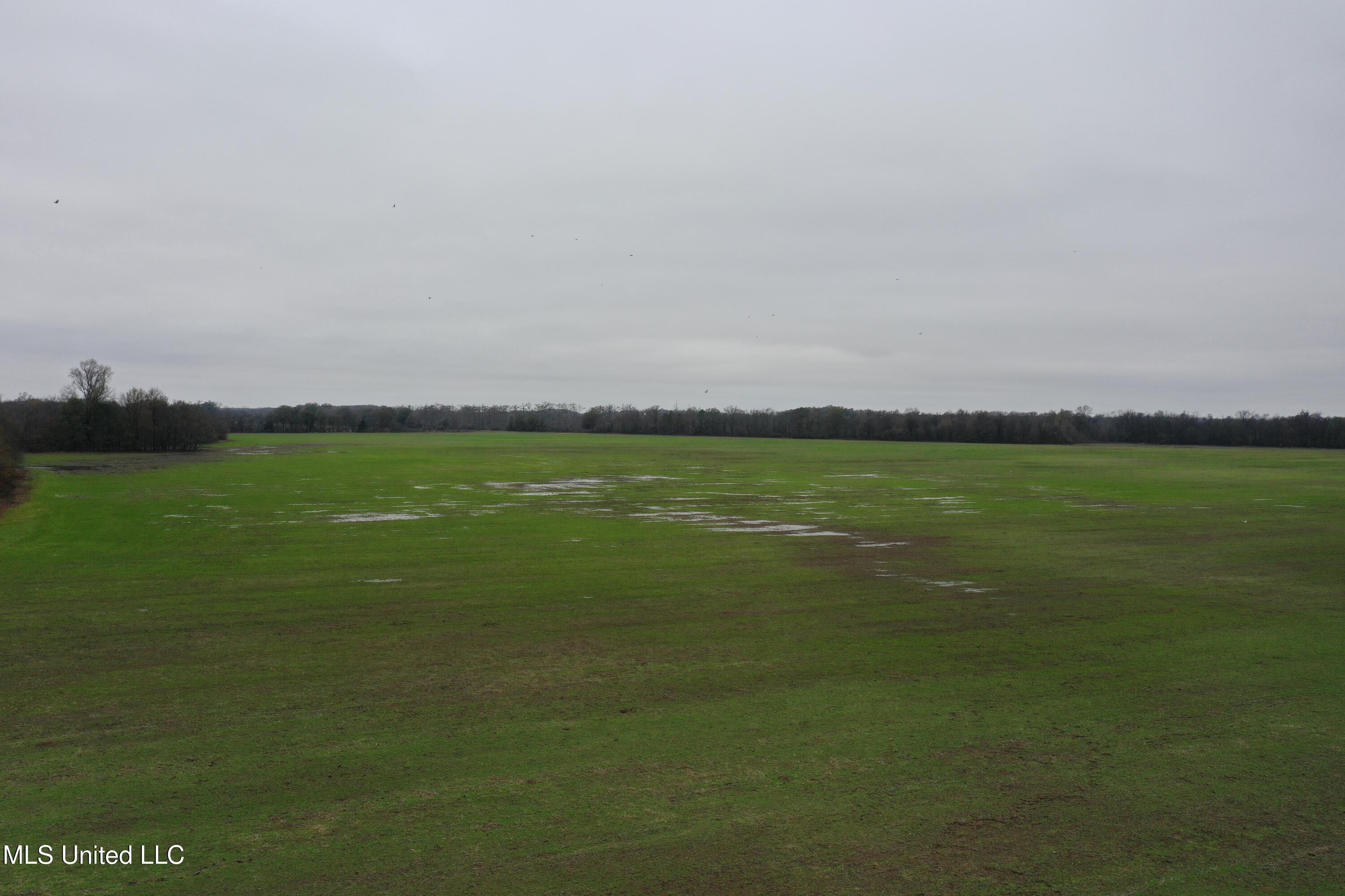 2000 Walnut Lake Road Dundee, MS 38626 - Photo 1 of 34 land