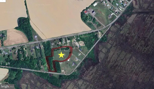 a view of a interior in a backyard