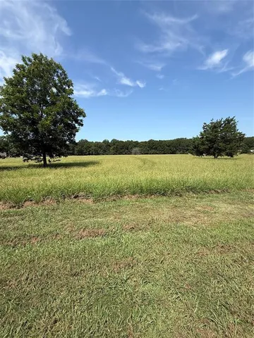 a view of an ocean from a yard