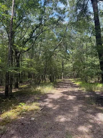 a backyard of a house with trees