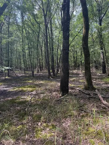 a view of outdoor space with trees
